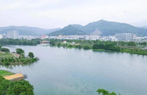 優秀 臺州再捧這項大獎